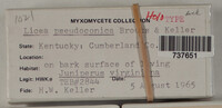 Image Associated With the Occurence